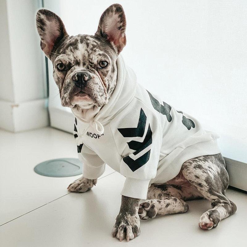 Winter Pup Parka
