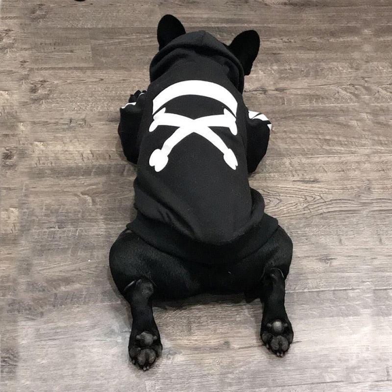 Winter Pup Parka